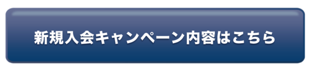 レオヴィスタバスケットボールクラブ 千葉県柏市を中心に活動 プロが教えるバスケットクラブ