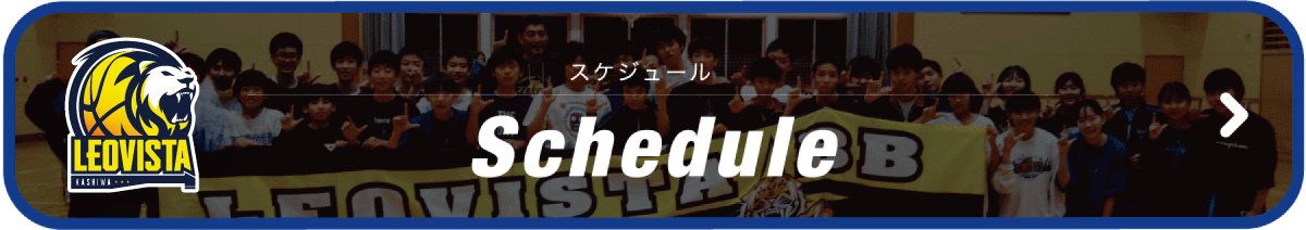 スケジュール